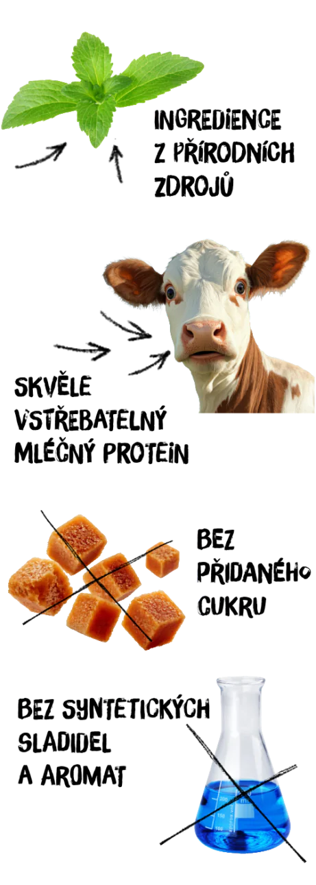 grafika složení proteinových dobrot: přírodní zdroje, mléčný protein, bez cukru